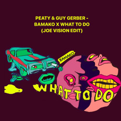 Peaty & Guy Gerber - Bamako X What To Do (JOE VISION EDIT)