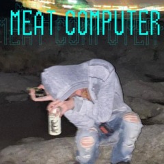 meat computer - 77 spiders