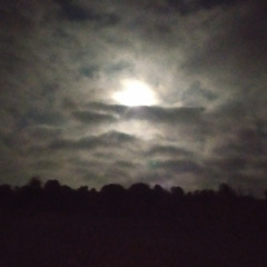 Mix Step-down by NoID at Exo Fest 2025