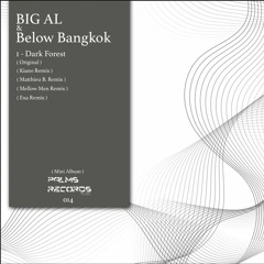 BiG AL & Below Bangkok - Dark Forest (Original Mix)[Palms Records]