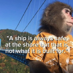 cicada cd 발매 기념 beat 2