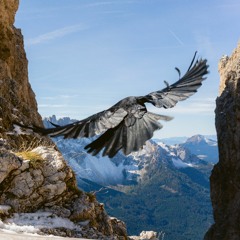 First Flight