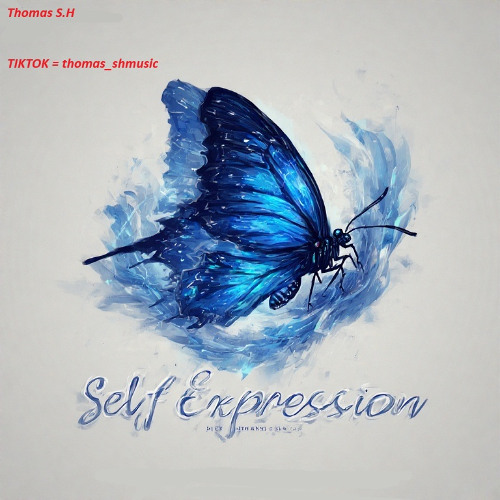 Thomas S.H - Self Expression