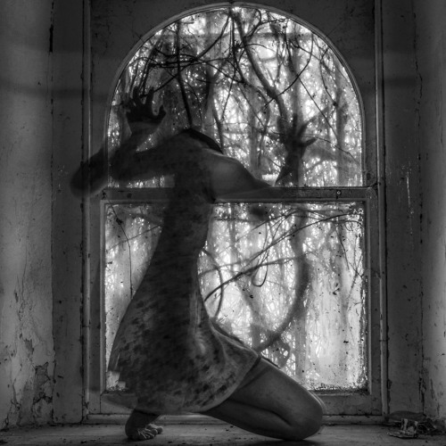Beyond The Frame