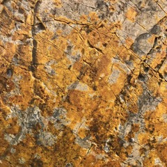 Sanjay Santosh - Trope