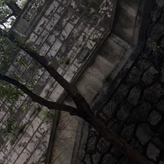 i9bonsai ~ On And On