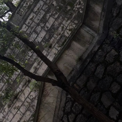i9bonsai ~ On And On