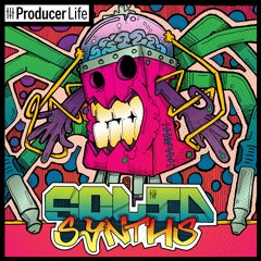 PL05 Solid Synths - Progressive EDM, Techno, House Royalty-Free Sample Pack