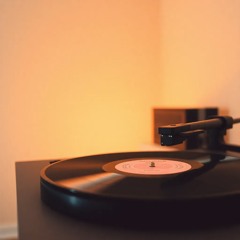 Moss on the Circuit Board