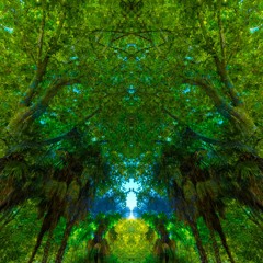 Anamorph - PSYBIENT AMBIENT PSYCHEDELIC CHILLOUT DUB PROGRESSIVE DRUM N BASS