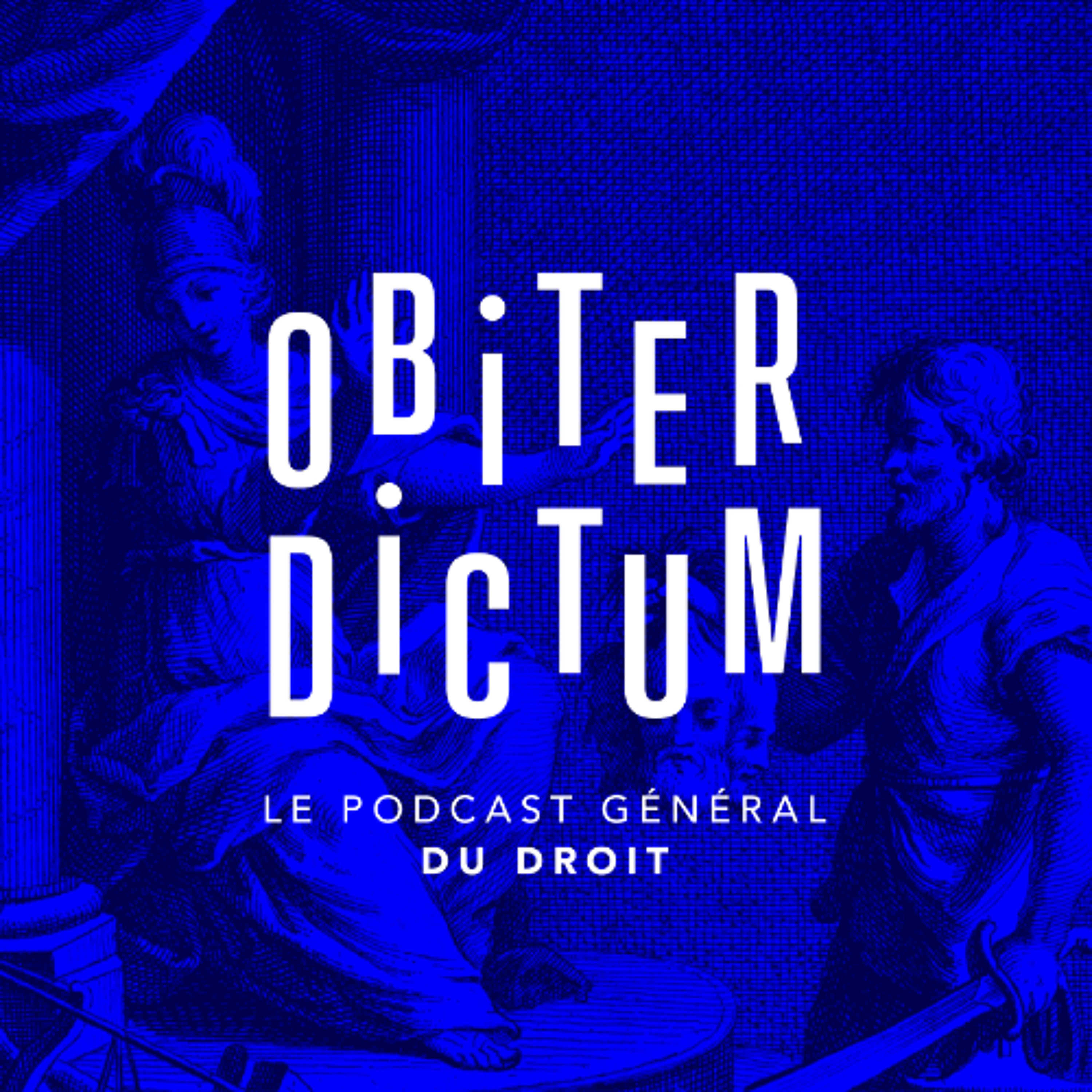 EP.23: Julian Fernandez : A la découverte de la justice pénale internationale