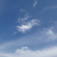 thingsineverhad_2