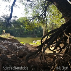 Limpopo - Nikki Sheth - from Sounds of Mmabolela out Sept 3
