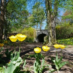 SevenOneSix Radio 024