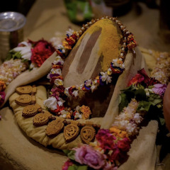 Pavan Nitai Chandra · Kirtan in Aindra Prabhu's Room · 8.9.23