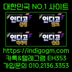 인디고맞고 최고치를 경신한 이후 일주일째 조정 양상을 보이고