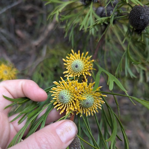 Newsletter Audio: October Musings