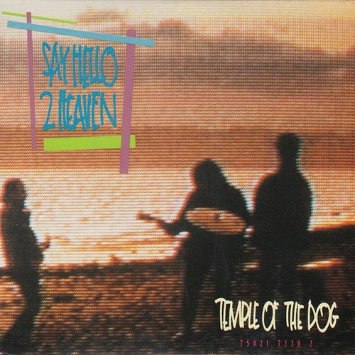 Stream Say Hello 2 Heaven Temple of the Dog (Cover by Brett Partridge