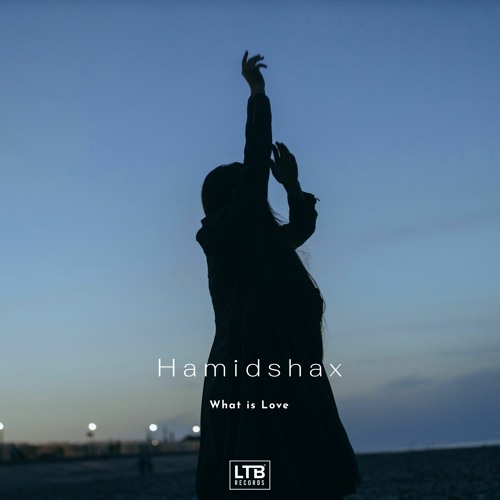 Hamidshax - What Is Love (Original Mix)