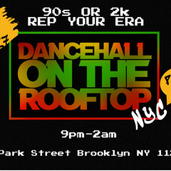 Dancehall on the rooftop LIVE AUDIO NYC 1:27:24 Icopsycho aka Shell King / Dj Mad Out / Max Glazer