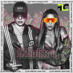 BZRP X AVICII - SHAKIRA (FRANCESCO LE CAUSE MASHUP)
