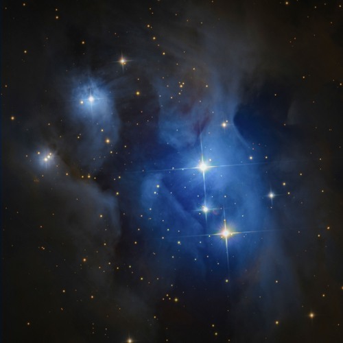 Tremor - Singularity [MindTrip]