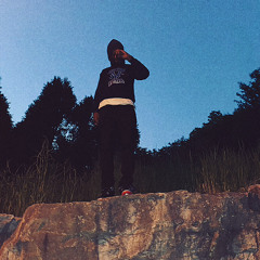 scorpion prod.luca malaspina