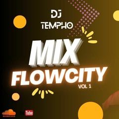 DJ Tempho - Flowcity Vol. 1 (El MERENGUE, LA JUMPA, APA, SIN SEÑAL, KAROL G, BAD BUNNY)