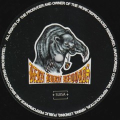 Ear Terror DJ Team - In The Name Of Hardcore