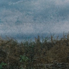 Srovė