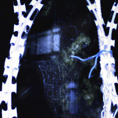 CELESTIAL GRATITUDE (PROD. TGWOG, GENNEI & ALONGTHEWALLS)