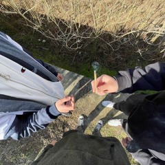 abuzez substante prod lawrencegotit