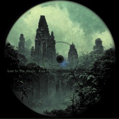 Lost In The Jungle (original Mix)
