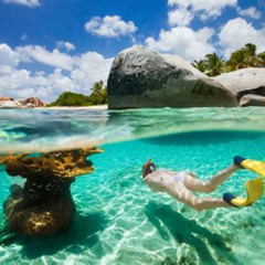 Best Tortola British Virgin Islands Snorkeling Prices Reviews