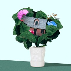 home grown [p. onlywoke]