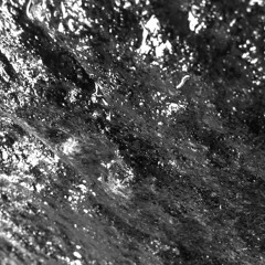 Traductions, Biocénose des grottes obscures.
