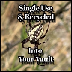 Into Your Vault