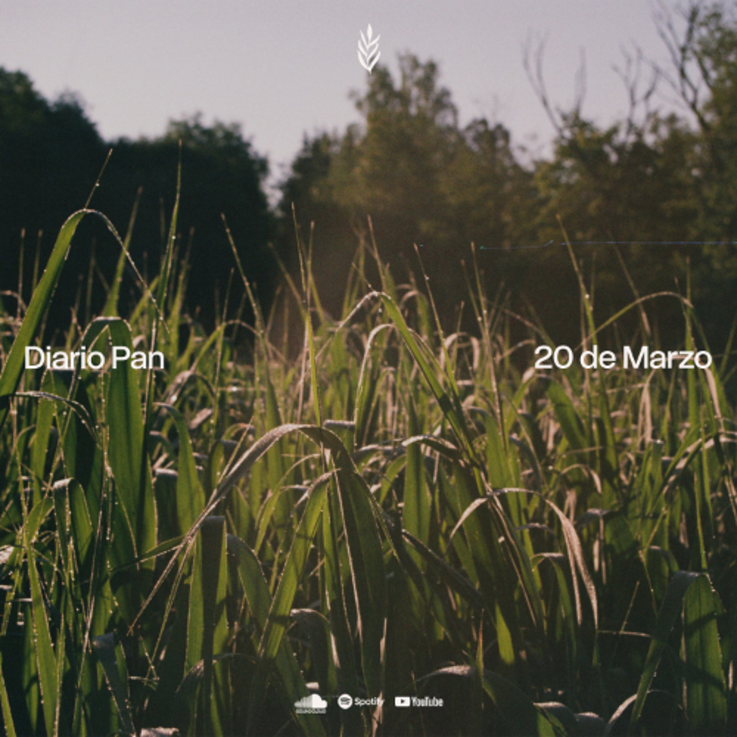 Devocional Diario Pan 20 de Marzo #DiarioPan