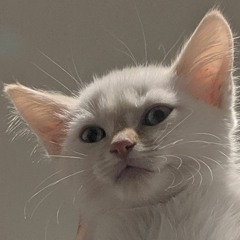 why now?