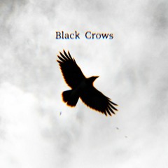 Black Crows 2024 ver. Full-size / George NIshiyama
