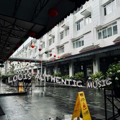 Authentic Music Louis Vol 02 - Louis Tang (Mix)