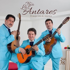 El Camino de la Vida