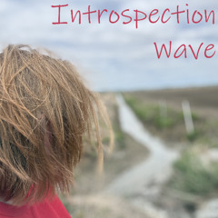 Introspection Wave