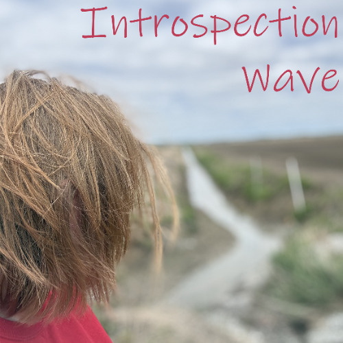 Introspection Wave