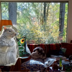 when you are random happy just because the autumn light in your sitting place