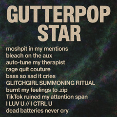 burnt my feelings to .zip