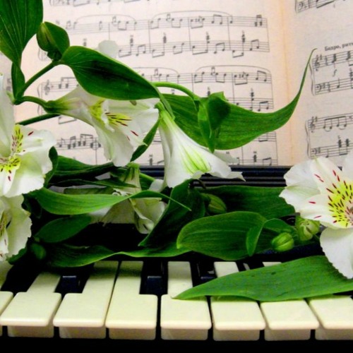 (5:20) epic background music FREE DOWNLOAD