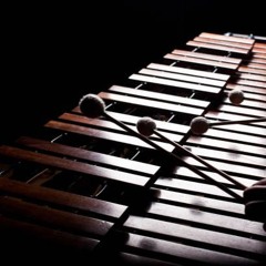 Playing God - Polyphia -Front Ensemble Arrangement