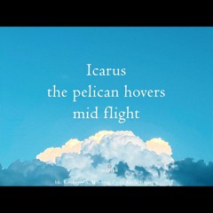 Icarus suspended [naviarhaiku462]