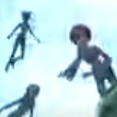 fly
